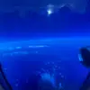 JamesMallon - @james.mallonn - TikTok