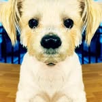James Maloy - @maloyjames - Instagram