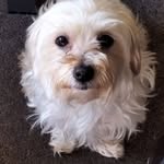 James Maloy - @jamesmaloy165 - Instagram