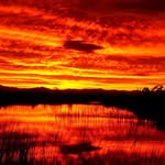 james mamaonas - @james_mamonas - Instagram
