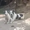 jamesmancini0 - @james.mancini6 - TikTok