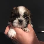 James Manders - @james.manders777 - Instagram