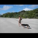 @jamesmanderson_ - Instagram