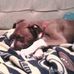 James Mandeville - Facebook