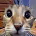 James Marrione Manes - Facebook