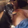 jamesmaness63 - @jamesmaness63 - TikTok