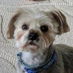 James M. Manges - @manges.james - Instagram