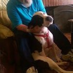 James Manion - @grumpyogm420 - Instagram