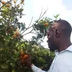 James Munala - Facebook