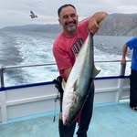 James Marano - @maranojames - Instagram