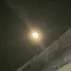 jamesmarcello - @jamesmarcello1 - TikTok
