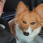 James Marchessault - @jamesmarchessault - Instagram