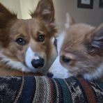 James Marchessault - Facebook
