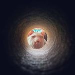 James Marconi - @jammarconi - Instagram