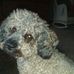 James Marker - Facebook