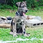 James Markowitz - @markowitz195 - Instagram