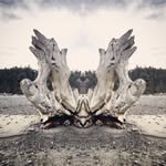 James Marohn - @j.a.marohn - Instagram