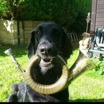 James Marple - @marplejames - Instagram