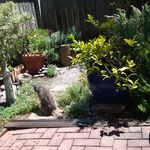 James Marple - @marple4981 - Instagram