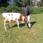 James Tanui Makeles - Facebook