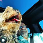 James Marroccoli - @yorluckyday - Instagram