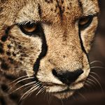 James - @jamesmarshman666 - Instagram