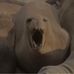 James Masteller - Facebook