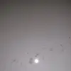 James marzo - @james.marzo4 - TikTok