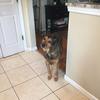 james.maschak - @james.maschak - TikTok