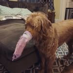james masek - @hanmasek - Instagram