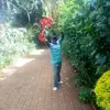James Matano - @james.matano4 - TikTok