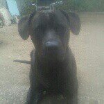 James matheny - @jamesjm7499 - Instagram