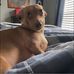 James Matheny - Facebook