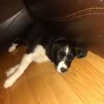 James Matheny - @j_matheny08 - Instagram