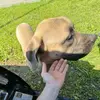 James Matheny - @james.matheny08 - TikTok
