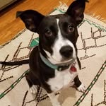 James Matheson - @james_matheson_composer - Instagram