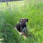 James Mathieson - @mathiesonjames - Instagram