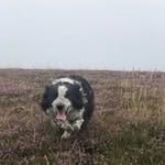 James Mathieson - @james.mathieson699 - Instagram