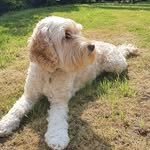 James Rancho Matson - @francis_rancho_ - Instagram