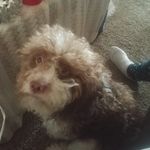 James Mauck - @madiesdaddy - Instagram