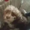 jamesmauck - @jamesmauck - TikTok
