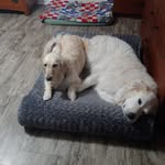 James Maurice - @james.maurice.58 - Instagram