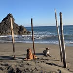 Anthony James Matz - @matzajnd - Instagram