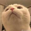 JamesMaverick2077 - @jamesmaverick2077 - TikTok