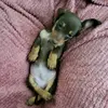 Maverick James - @maverick.james76 - TikTok