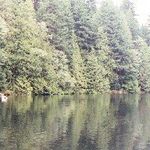James Maxson - @maxson.james - Instagram