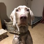 James Mayers - @james.mayers.5 - Instagram