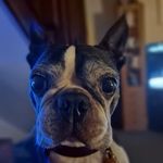 James Mayers - @james.mayers.790 - Instagram