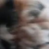 James Mayers - @james.mayers20 - TikTok