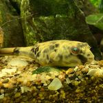 James MBUpuffer - @james_mbupuffer - Instagram